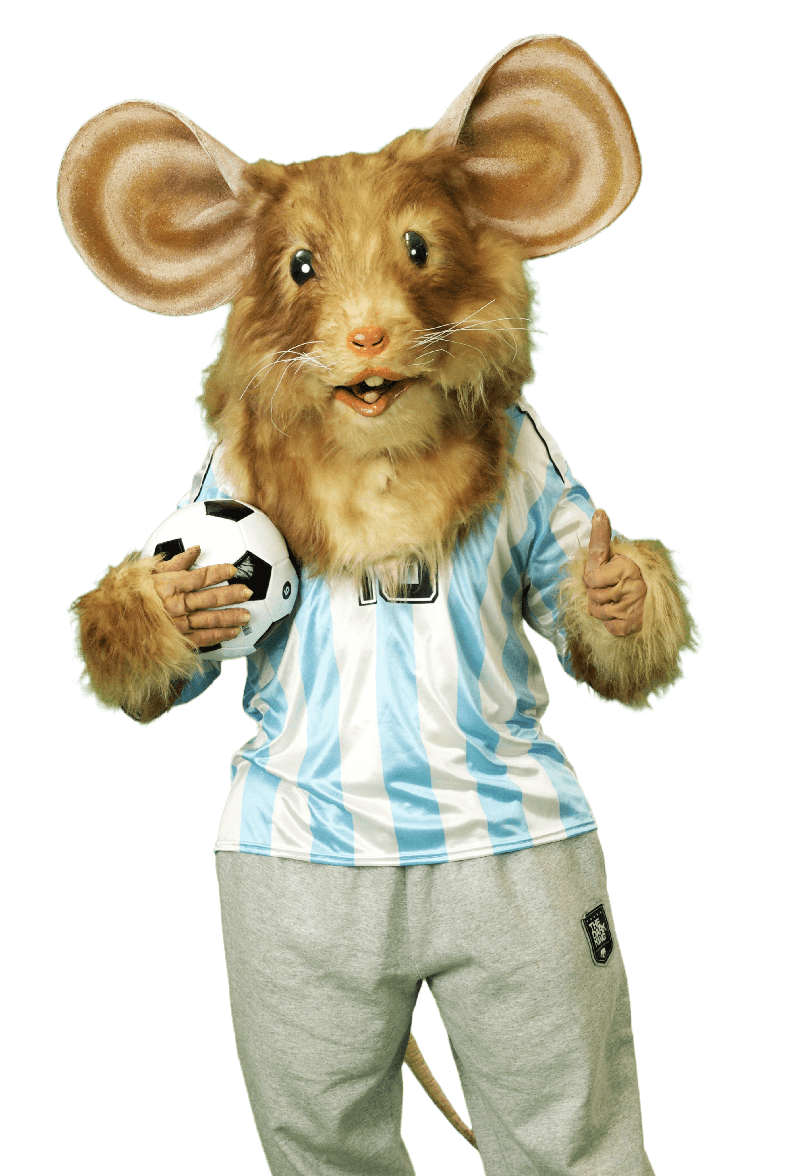 Mascota Liga Galicia